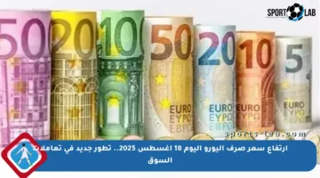 ارتفاع سعر صرف اليورو اليوم 18 أغسطس 2025.. تطور جديد في تعاملات السوق